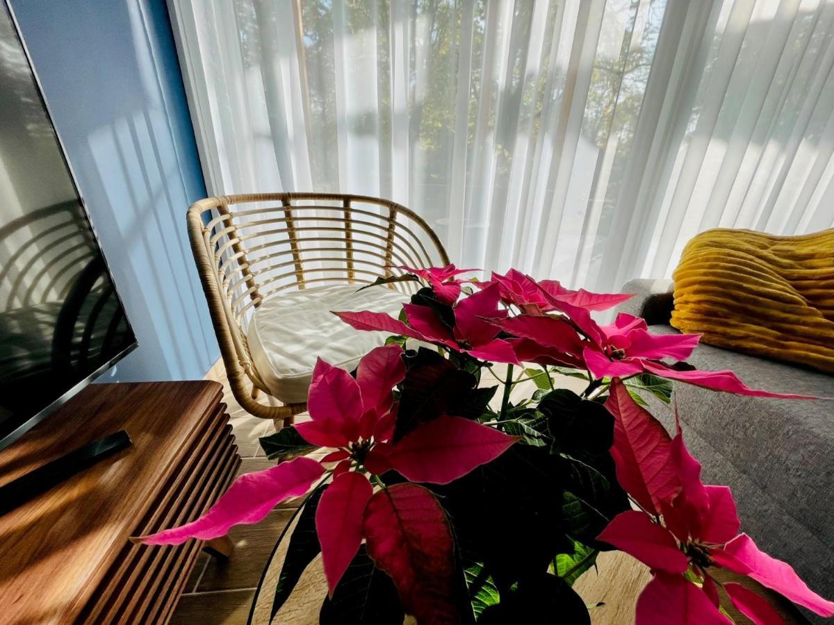 Aranygesztenye Apartmanhaz Balatonudvari Luaran gambar